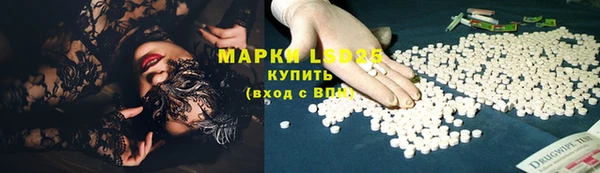 ПСИЛОЦИБИНОВЫЕ ГРИБЫ Баксан