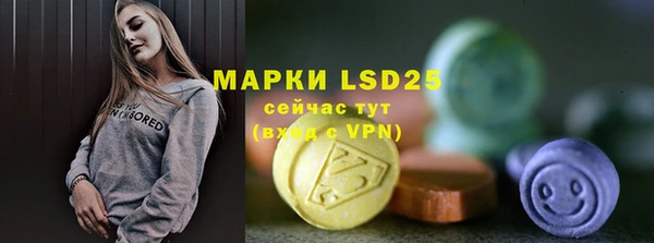 ПСИЛОЦИБИНОВЫЕ ГРИБЫ Баксан