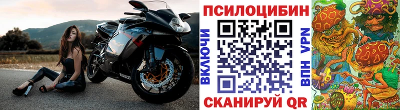 Галлюциногенные грибы мицелий  blacksprut зеркало  Белогорск  как найти  