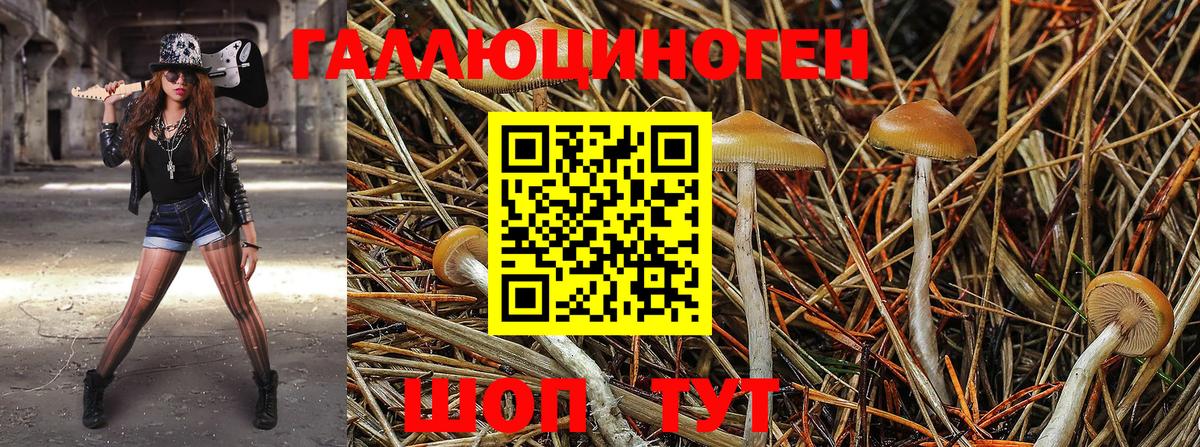 Галлюциногенные грибы мицелий Белогорск