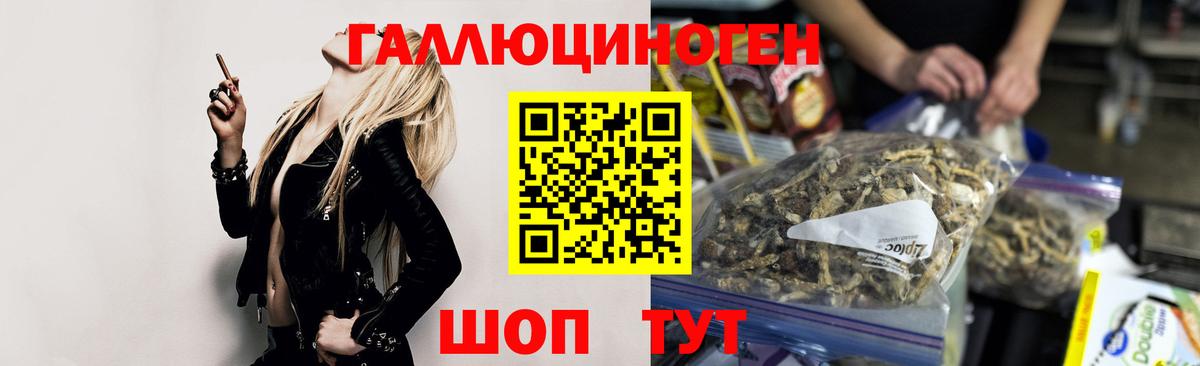 Белогорск  Псилоцибиновые грибы Psilocybine cubensis  Вход с VPN 